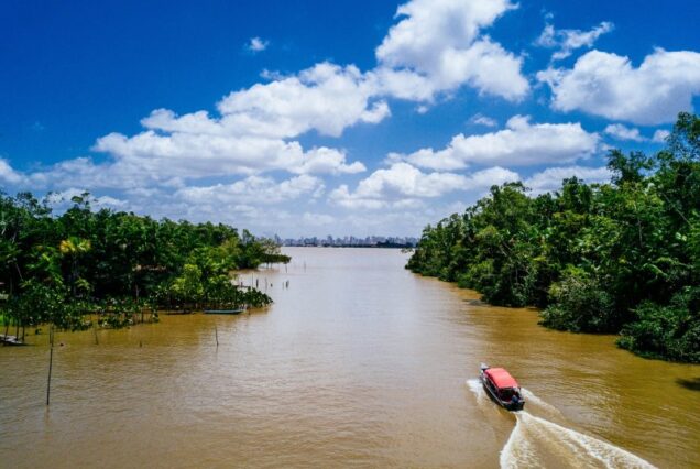 Scenic view of Kerala backwaters and tea gardens – Best of Kerala Munnar Thekkady Alleppey 6 Days 5 Nights Package