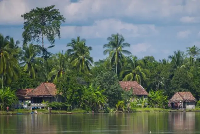 Scenic view of Munnar hills on a 5 Nights / 6 Days Kochi Munnar Thekkady Combo tour