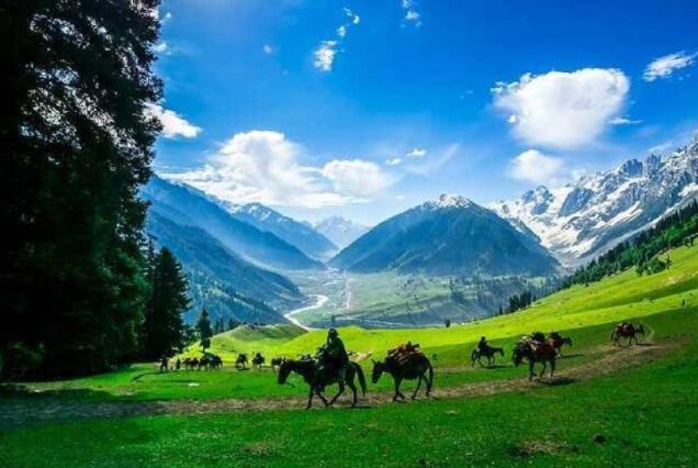 Heavenly Kashmir Tour – 5 Nights / 6 Days