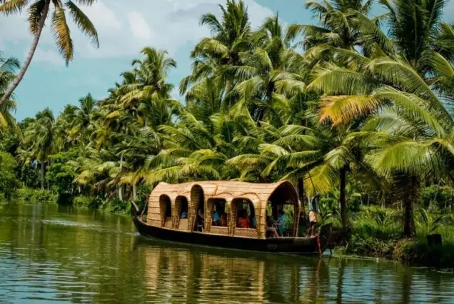 Backwaters and hills in Best of Kerala (Munnar, Thekkady, Alleppey) 5 Nights 6 Days Tour