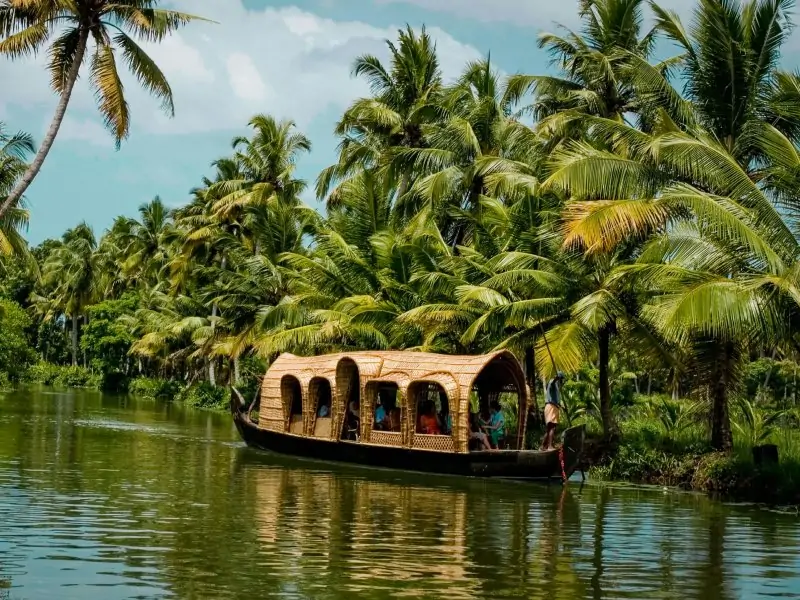 Backwaters and hills in Best of Kerala (Munnar, Thekkady, Alleppey) 5 Nights 6 Days Tour