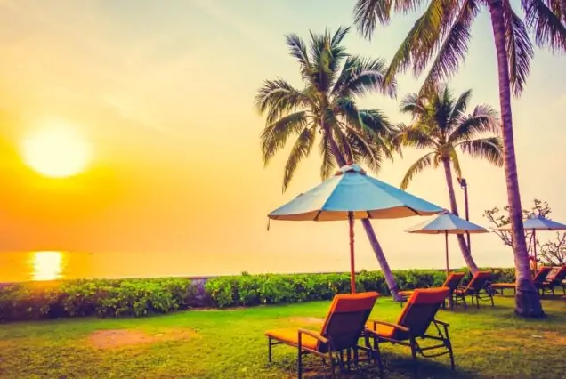 Monsoon Magic Kerala Tour – 6 Nights / 7 Days