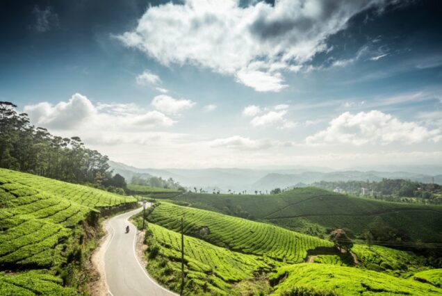Kochi Munnar Thekkady Combo – 5 Nights / 6 Days