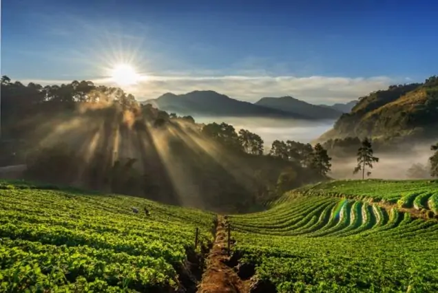 Hill Station & Backwater Tour - 6 Nights / 7 Days