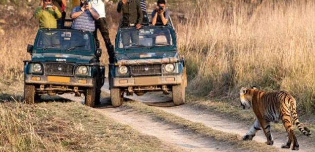 Ranthambore