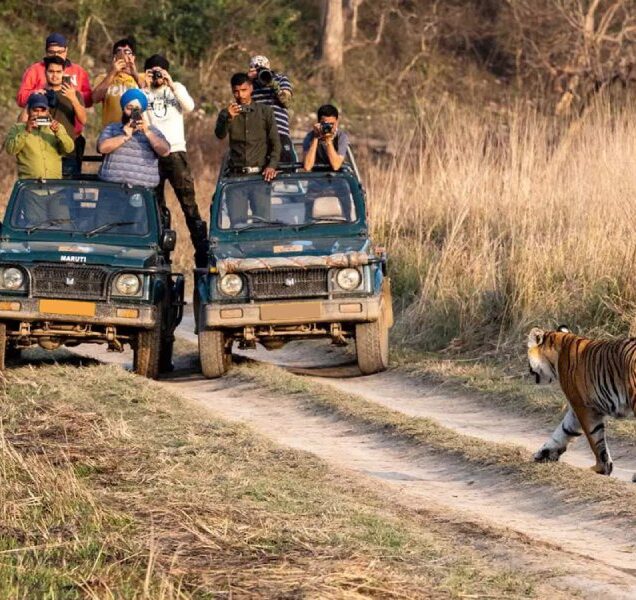 Ranthambore