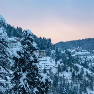 Shimla