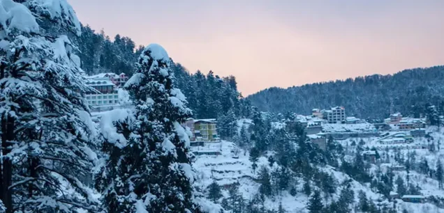 Shimla