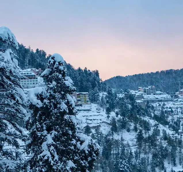 Shimla