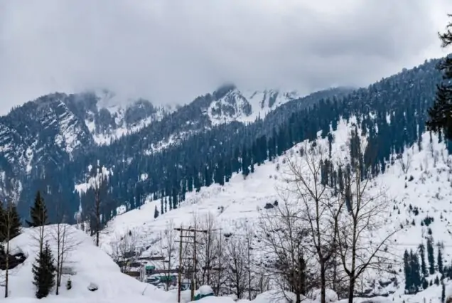 Manali Group Tour | Solang Valley, Hadimba Temple & Mall Road