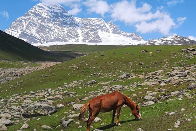 Offbeat Kashmir Tour (Yusmarg & Doodhpathri) – 6 Nights / 7 Days
