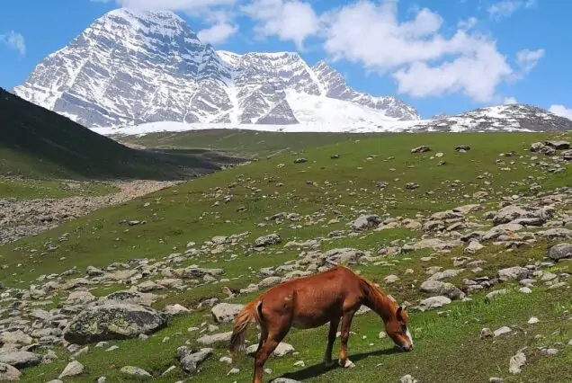 Offbeat Kashmir Tour (Yusmarg & Doodhpathri) – 6 Nights / 7 Days