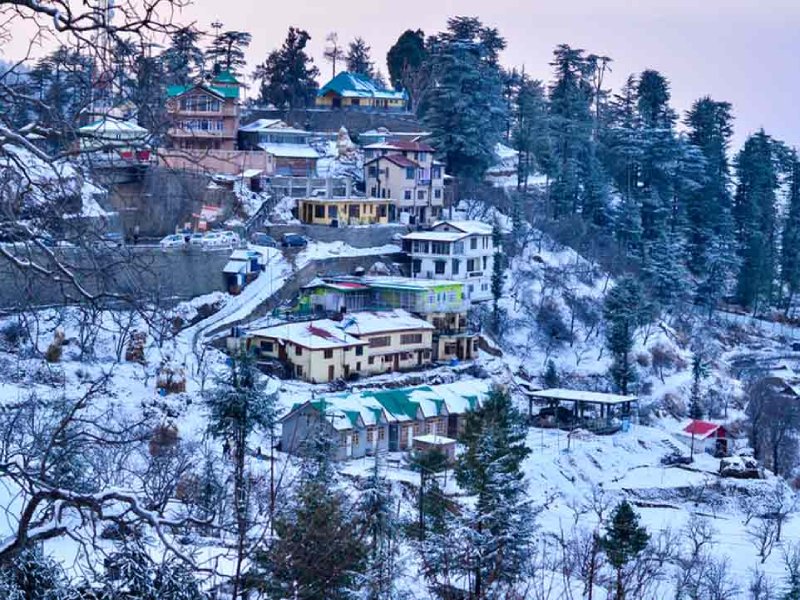 Shimla & Kufri Weekend Tour – 2 Nights / 3 Days, Go India Holiday