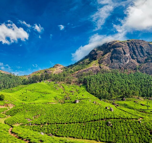 Munnar