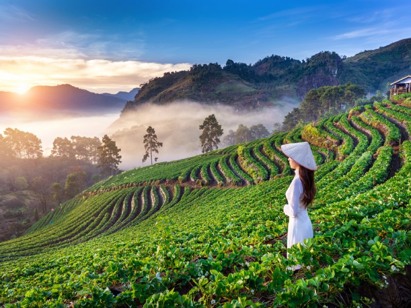 Thailand