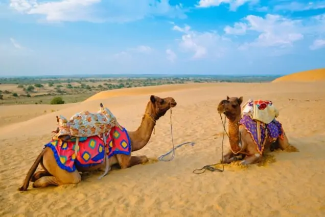 Jaisalmer Desert Safari Tour – Camel Trekking and Desert Camp Under Starlit Sky