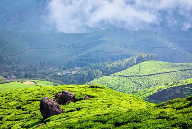 Munnar Weekend Escape – 3 Days / 2 Nights
