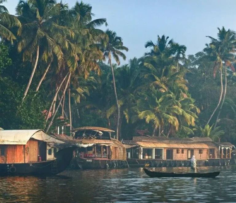 Places to Visit in Kerala in December