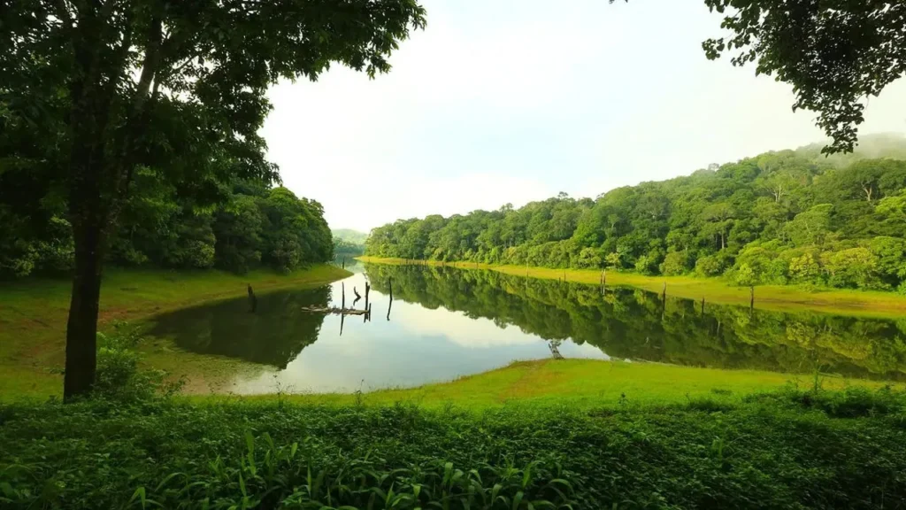 Best time to visit Kerala