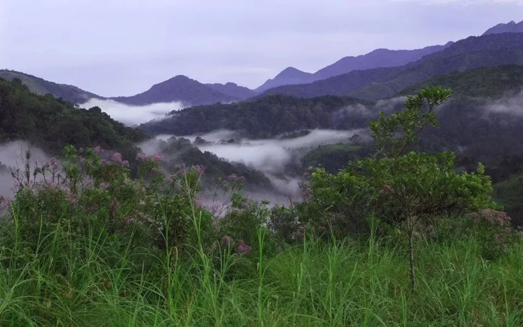 Silent Valley National Park